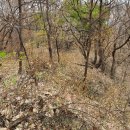 도원리마을회관 | 천안 도원리산성(天安 桃源里山城)