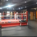 탑 복싱체육관 이미지