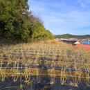 진도대교주유소 이미지