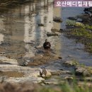 오산메디컬재활요양병원 이미지