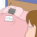 영철이네 이미지