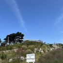 핑크파크 | 강릉여행 호린파크 핑크뮬리 축제 ­뚜벅이 추천 후기(입장료,주차)