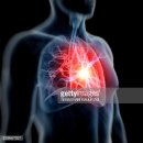 경희몸신한의원 | ‘나는 몸신이다.’ 나만 살찌는 '지방 분해 호르몬' … 아디포넥틴