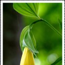 거창여중 이미지