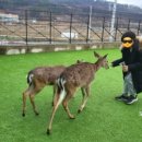 더보이스 코인노래연습장 이미지