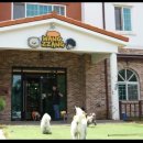 왕짱 애견스쿨 이미지