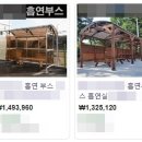 석당구장 이미지