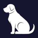 원애견샵 이미지