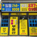 롯데일등부동산중개사무소 이미지