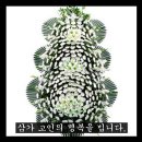 야탑동 351 (분당차병원) 이미지