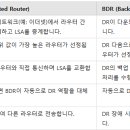 DR 환경 네이버블로그