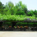 청북중학교 이미지