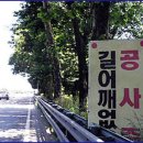 외동초등학교 이미지