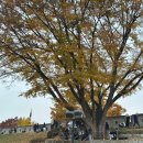 수원-0151 이미지