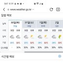 RE:7월30일(화)관악산 계곡트래킹 여행(꽃비대장님) 이미지