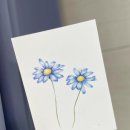 쉽게 그리는 색연필 보테니컬아트 | 색연필)보테니컬아트