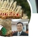 (사)국제장애인문화교류계양구협회 네이버블로그