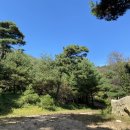 가창리 부도 이미지