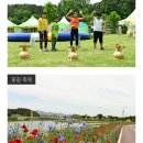 이번주 일요일은 장성황룡강길동무 꽃길축제 가는날입니다. 이미지