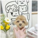 멍 부띠끄 이미지