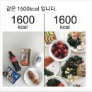 피티앤 이미지
