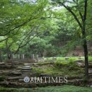동천조경 이미지