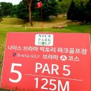 나이스파크골프 이미지