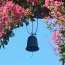 국민부동산중개 이미지