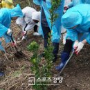 건강나라 헬스 이미지