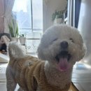 온블리살롱 네이버블로그