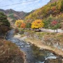 J캠핑장