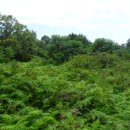 색달동-3 이미지