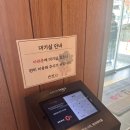 대구 다사 샤브20 후기 샤브샤브 무한리필