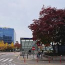 라온제나 분당 웨딩뷔페 | 판교 라온제나분당 웨딩홀 가격 교통 예식홀 뷔페 투어 후기 💖🎉