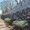 낙산 티스토리