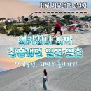 일출언덕신산게스트하우스 | 페루 와카치나 사막여행 2일차: 맛집 추천/황홀 그자체 모래언덕 일몰일출/리마로 다시 이동