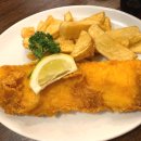 솔 피시 이미지