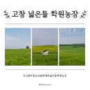 넓은들 | 고창 청보리밭 축제 후기｜넓은들 학원농장 입장료, 주차, 포토스팟 정보
