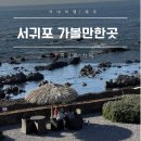 휴일의 아침 | 제주 서귀포 카페 휴일로 내돈내산 바다뷰 솔직후기