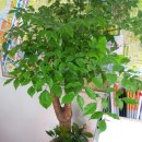 훼미리공인중개사사무소 이미지