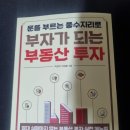 풍수지리 이미지