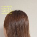 컴포즈커피파주운정초롱꽃