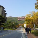 여사님PC Daum카페