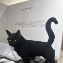 모어스토어