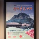 제주삼다수도야지 | 서교동고기집 회식하기 좋은 제주정원 방문 후기