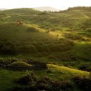 ㈜제주여행렌트카 이미지