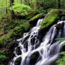 한국의 잔상 이미지