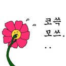 제과기능사 이미지