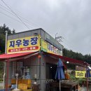 지우농장 이미지