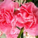 엄마와아들 이미지